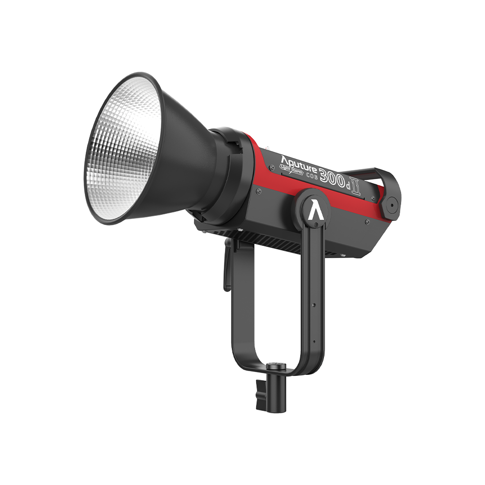 Aputure LS 300d II