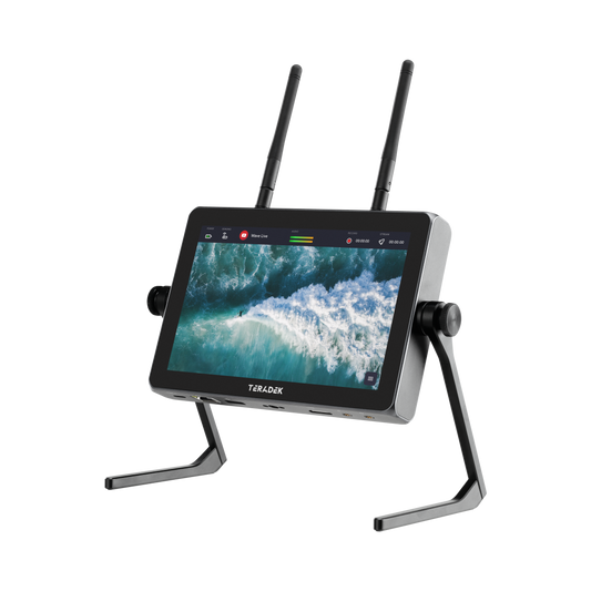 Wave Monitor-Encoder